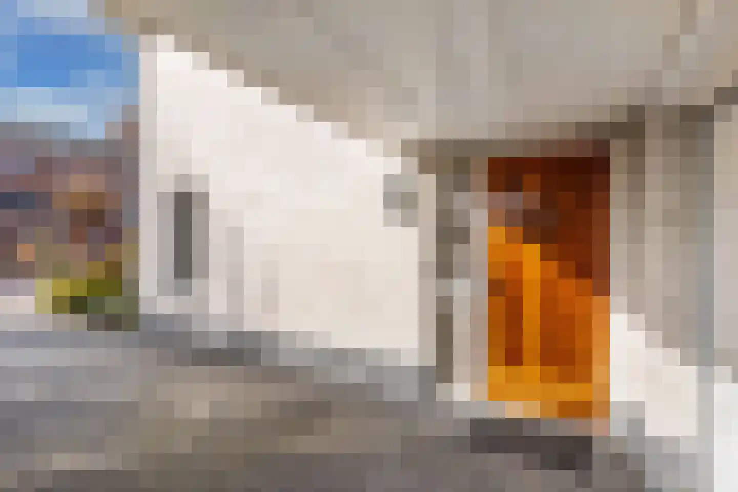 Noordermeent 9 Kraggenburg thumbnail 6