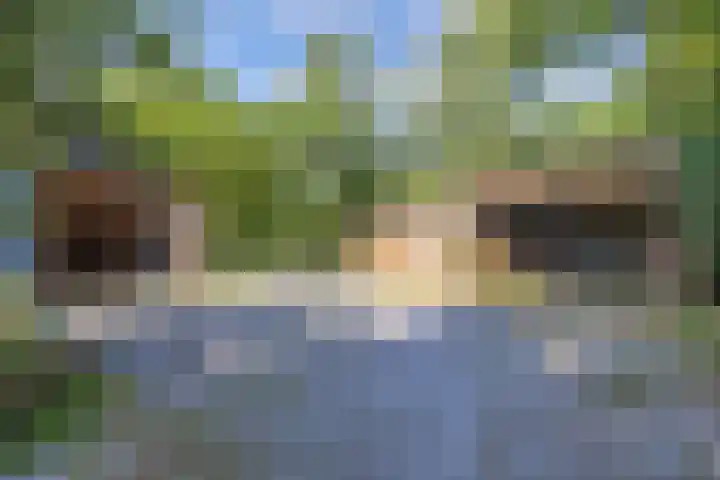 Noordermeerweg 13 Creil thumbnail 10