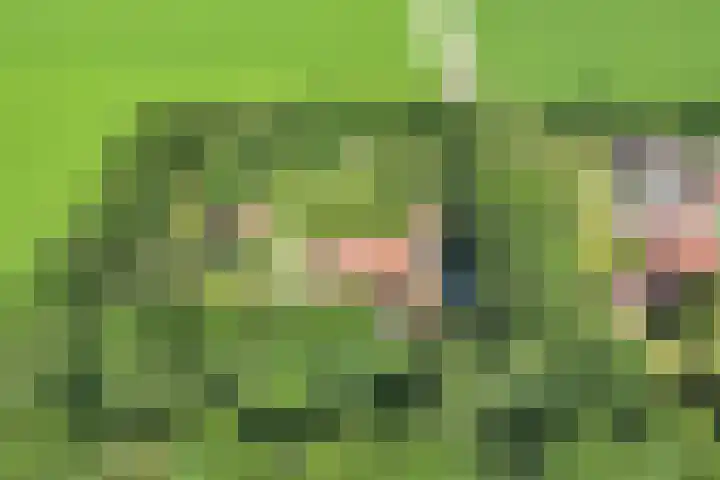 Noordermeerweg 13 Creil thumbnail 11