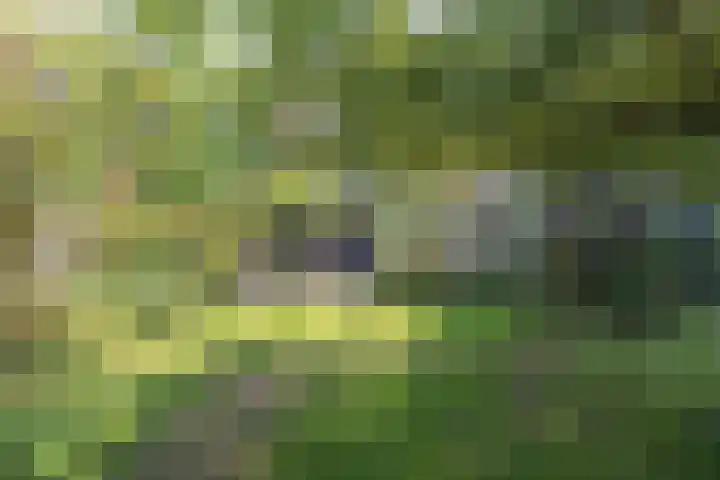 Noordermeerweg 13 Creil thumbnail 64