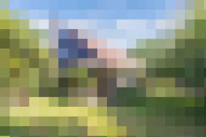 Noordermeerweg 13 Creil thumbnail 65