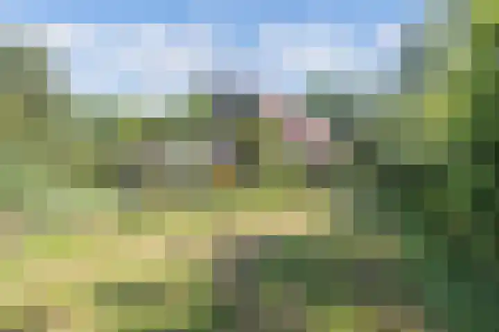 Noordermeerweg 13 Creil thumbnail 66