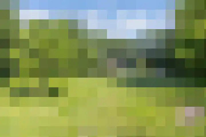 Noordermeerweg 13 Creil thumbnail 71