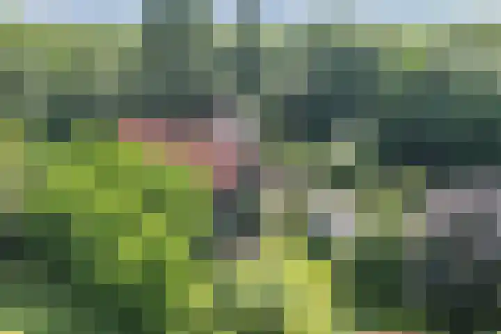 Noordermeerweg 13 Creil thumbnail 75
