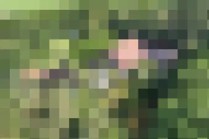 Noordermeerweg 13 Creil thumbnail 78