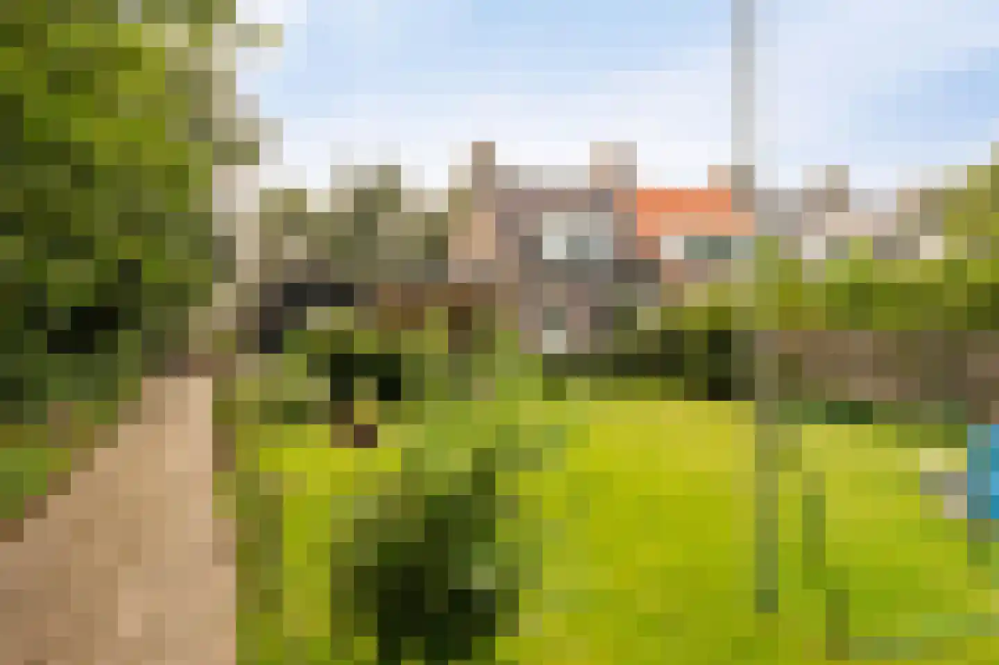 Noordermeerweg 19 A Creil thumbnail 12