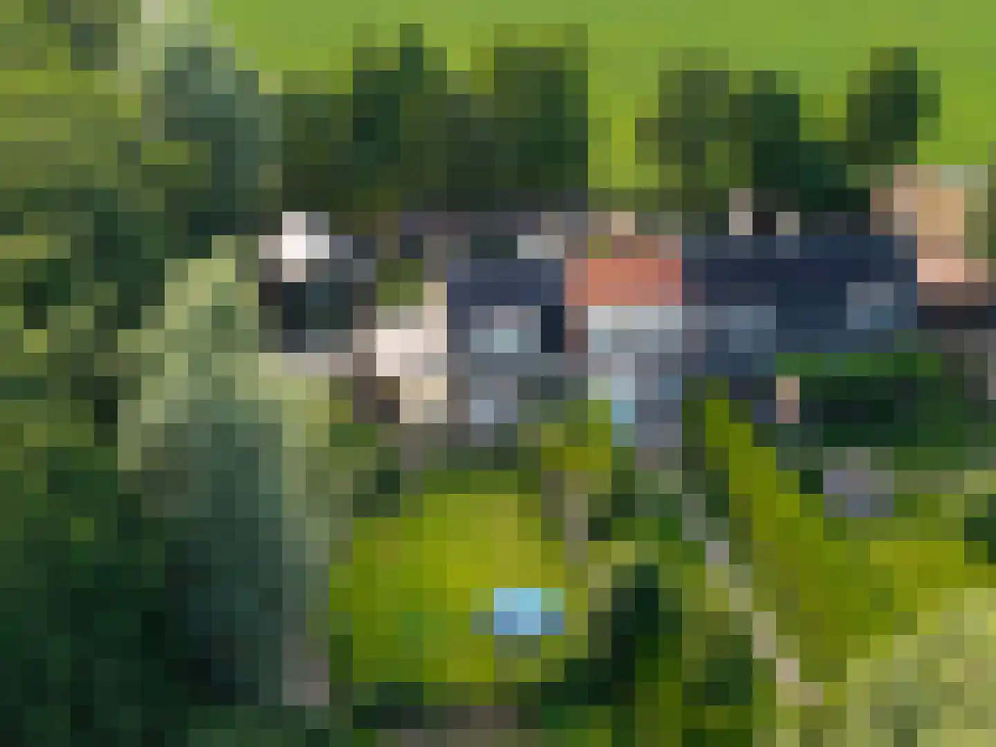 Noordermeerweg 19 A Creil thumbnail 6