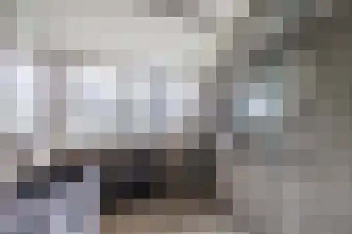 Noordermeerweg 33 A Creil thumbnail 27