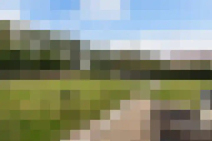 Noordermeerweg 33 A Creil thumbnail 36
