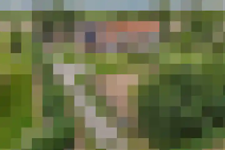 Noordermeerweg 33 A Creil thumbnail 38