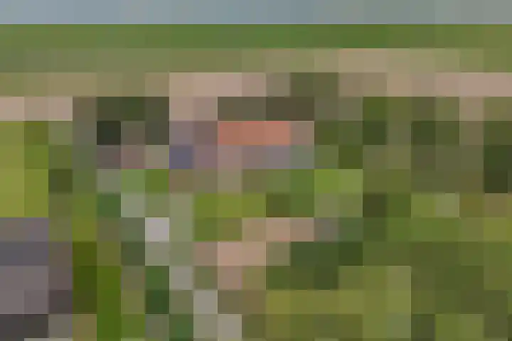 Noordermeerweg 33 A Creil thumbnail 39