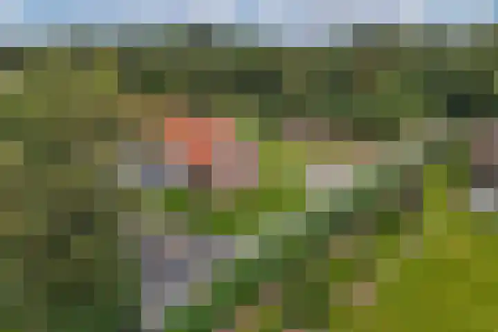 Noordermeerweg 33 A Creil thumbnail 41