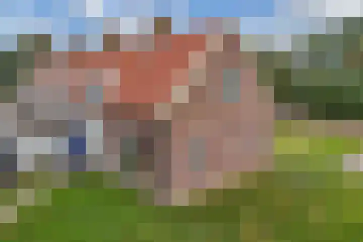 Noordermeerweg 33 A Creil thumbnail 49
