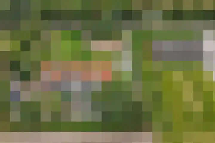 Noordermeerweg 33 A Creil thumbnail 50