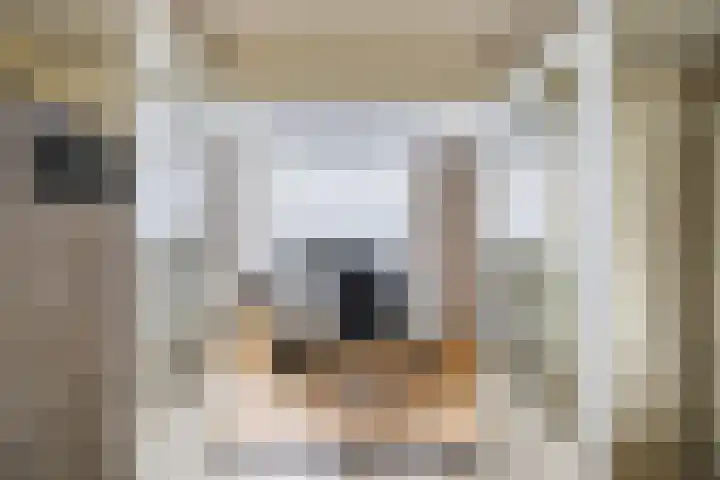 Noordermeerweg 33 A Creil thumbnail 9