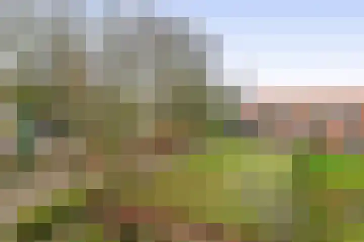 Noordermeerweg 49 A Rutten thumbnail 44