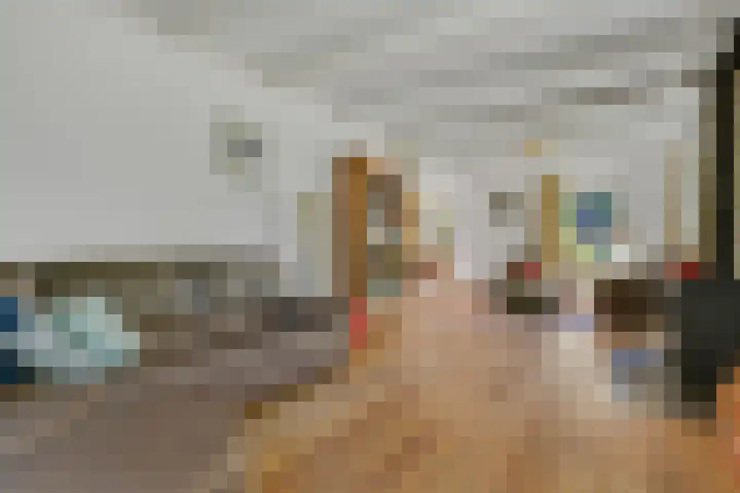 Noordermiddenweg 6 2 Espel thumbnail 9