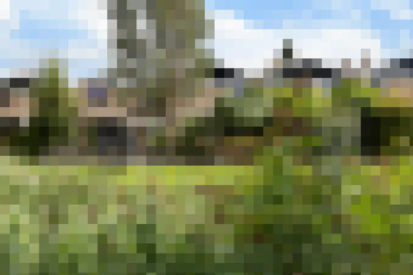 Noordernesse 5 Mijnsheerenland