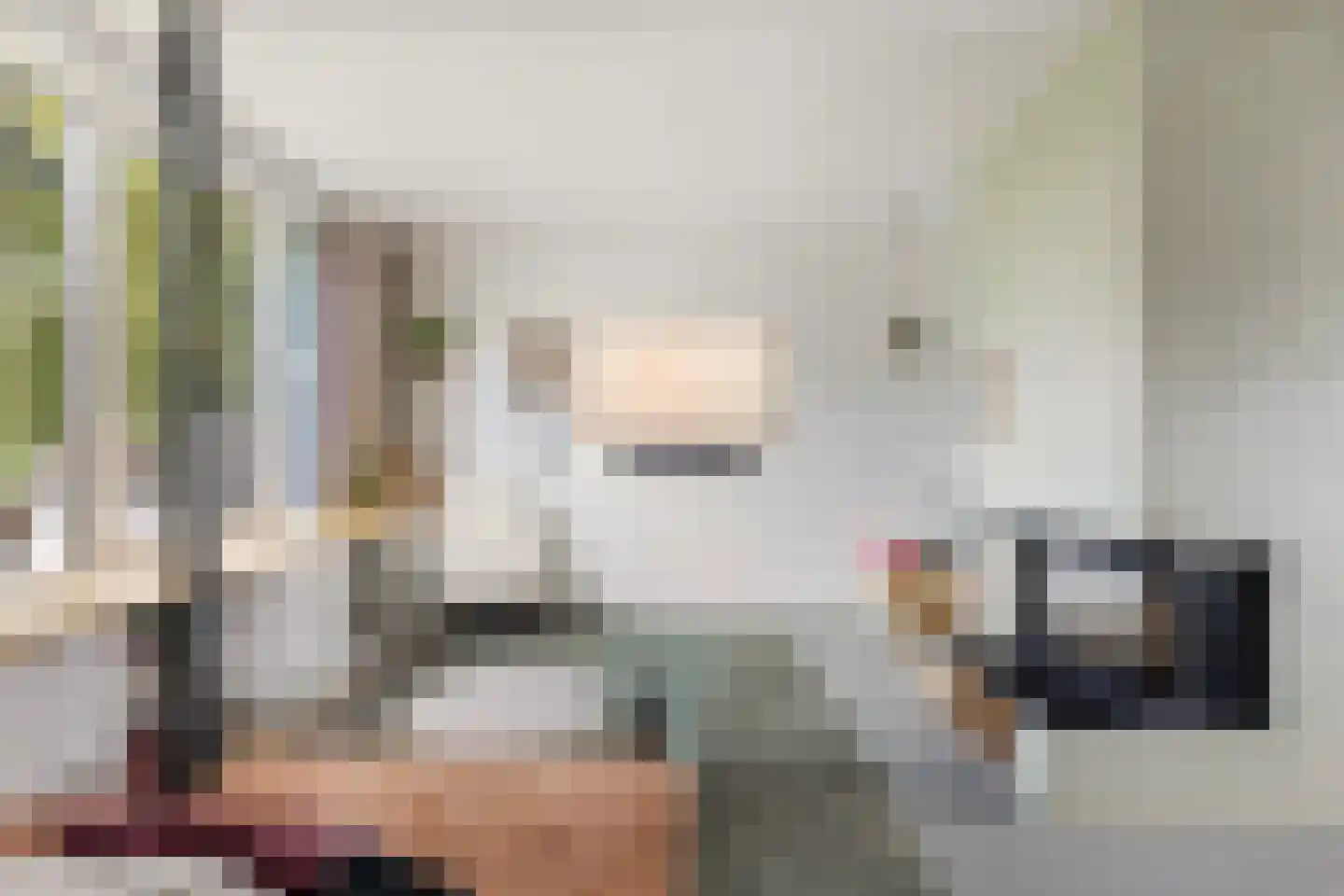 Noordernesse 5 Mijnsheerenland thumbnail 10