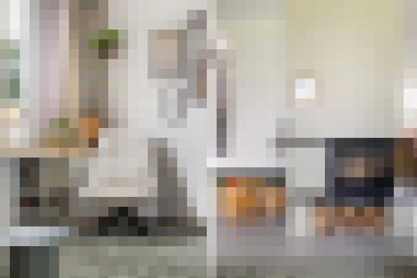 Noordernesse 5 Mijnsheerenland thumbnail 11