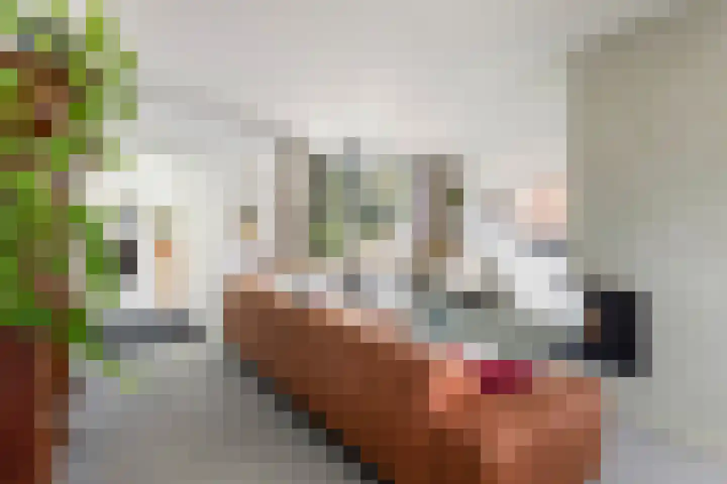 Noordernesse 5 Mijnsheerenland thumbnail 12