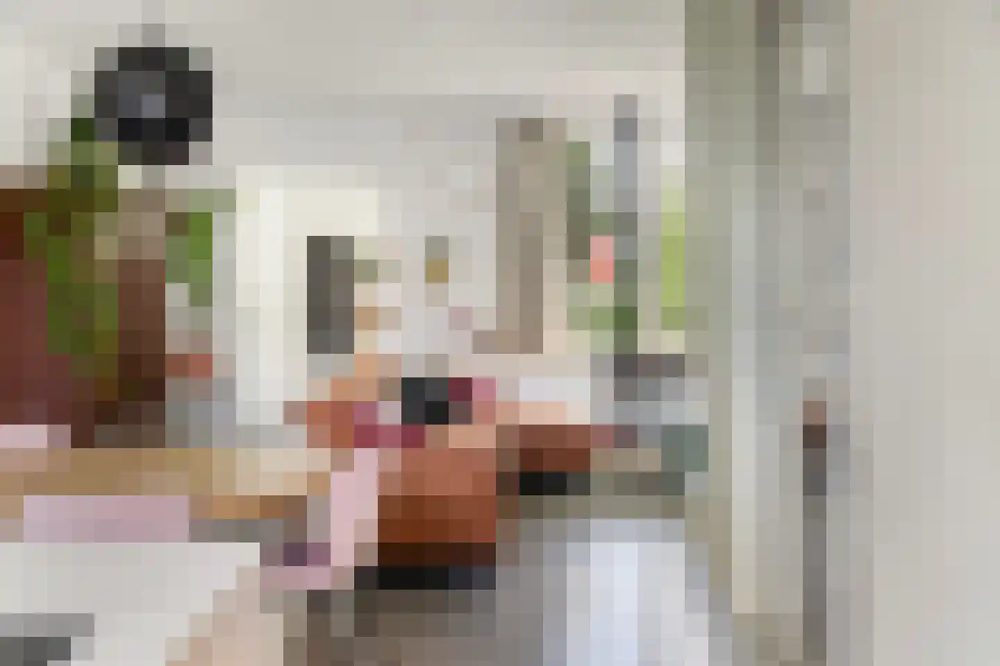 Noordernesse 5 Mijnsheerenland thumbnail 13