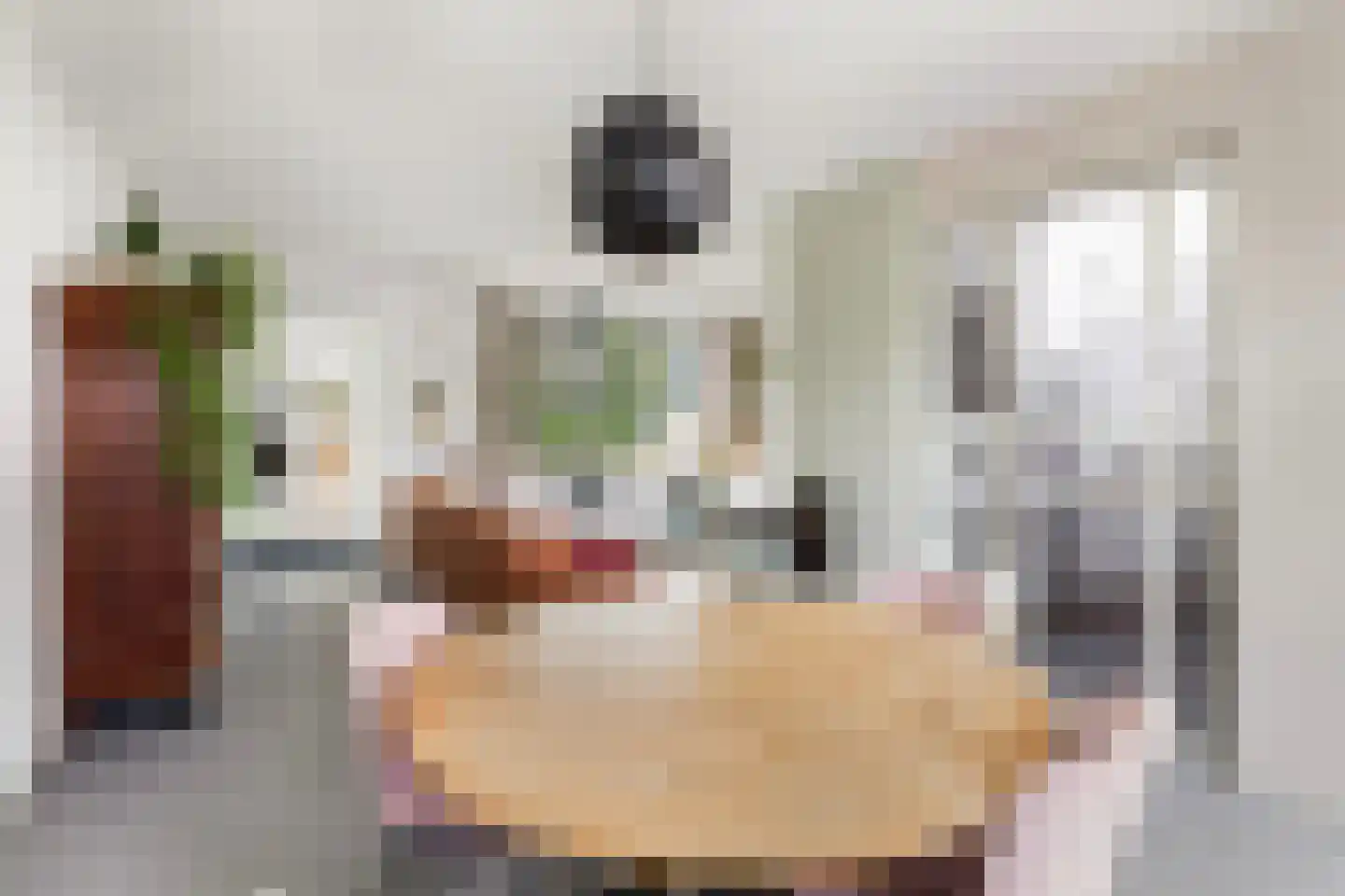 Noordernesse 5 Mijnsheerenland thumbnail 14
