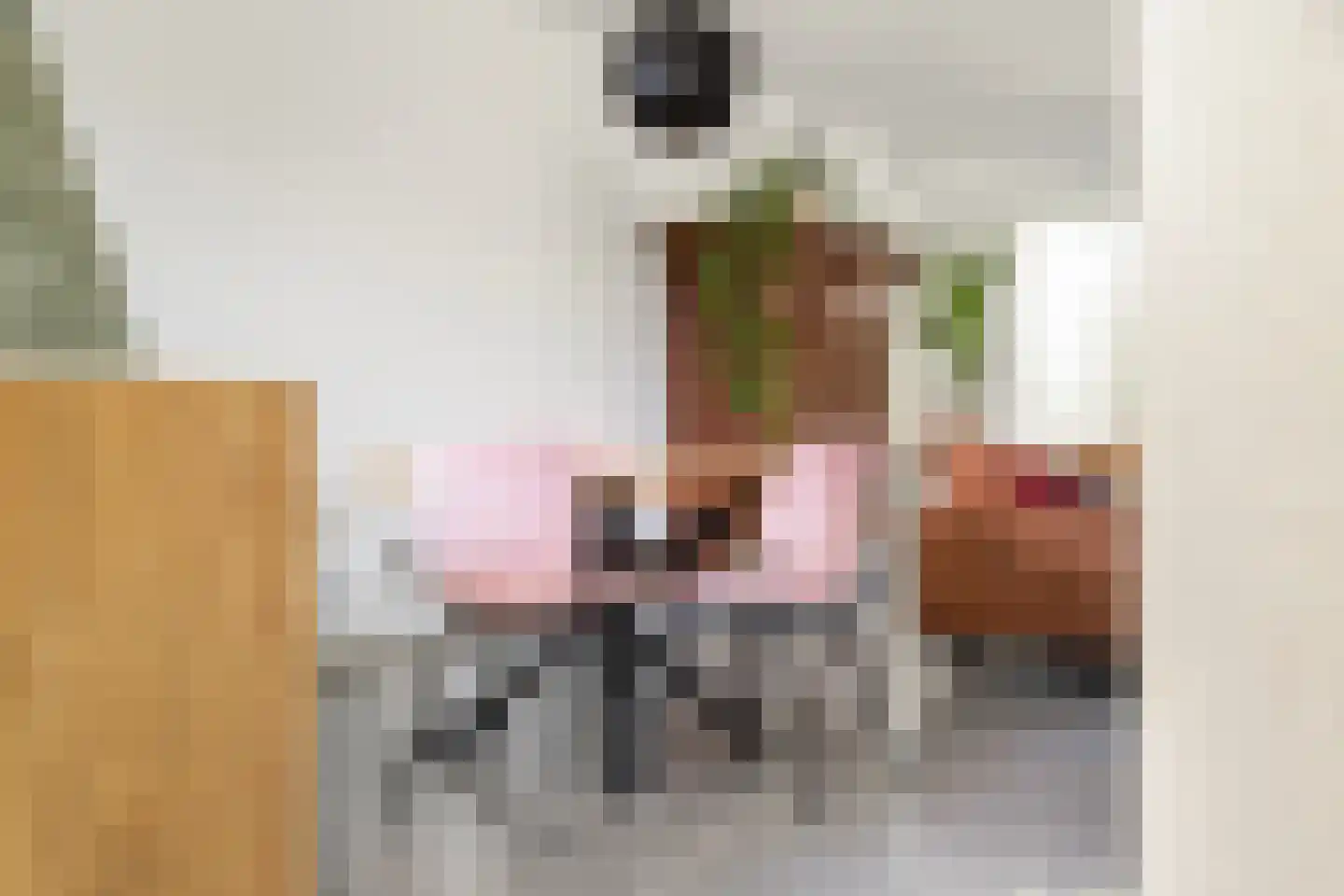Noordernesse 5 Mijnsheerenland thumbnail 15
