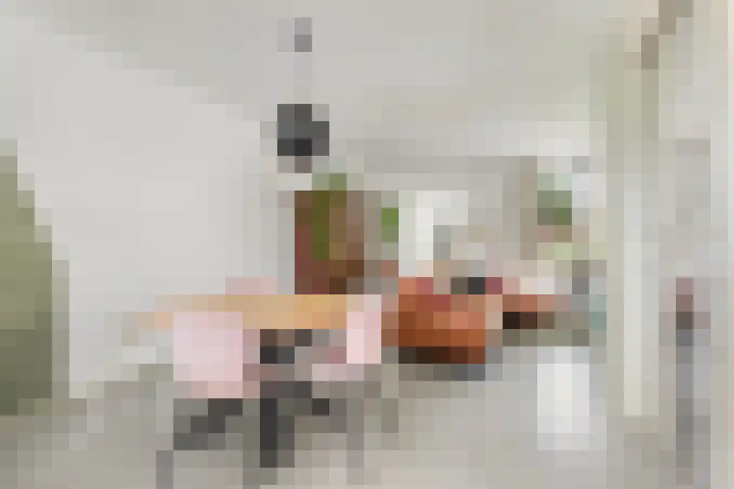 Noordernesse 5 Mijnsheerenland thumbnail 16