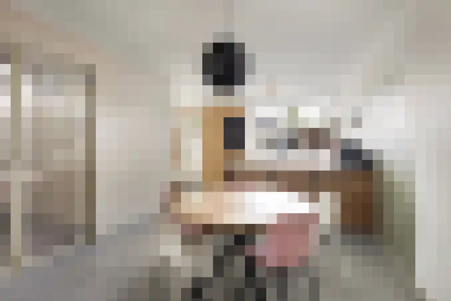 Noordernesse 5 Mijnsheerenland thumbnail 17