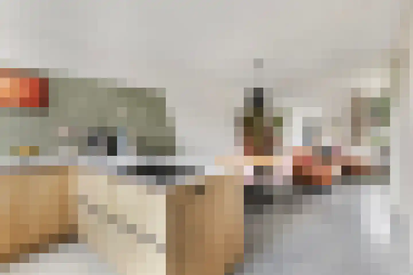 Noordernesse 5 Mijnsheerenland thumbnail 19
