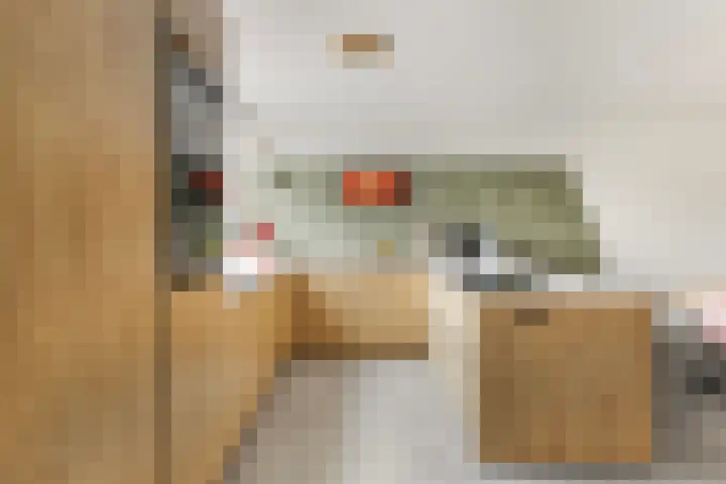 Noordernesse 5 Mijnsheerenland thumbnail 20