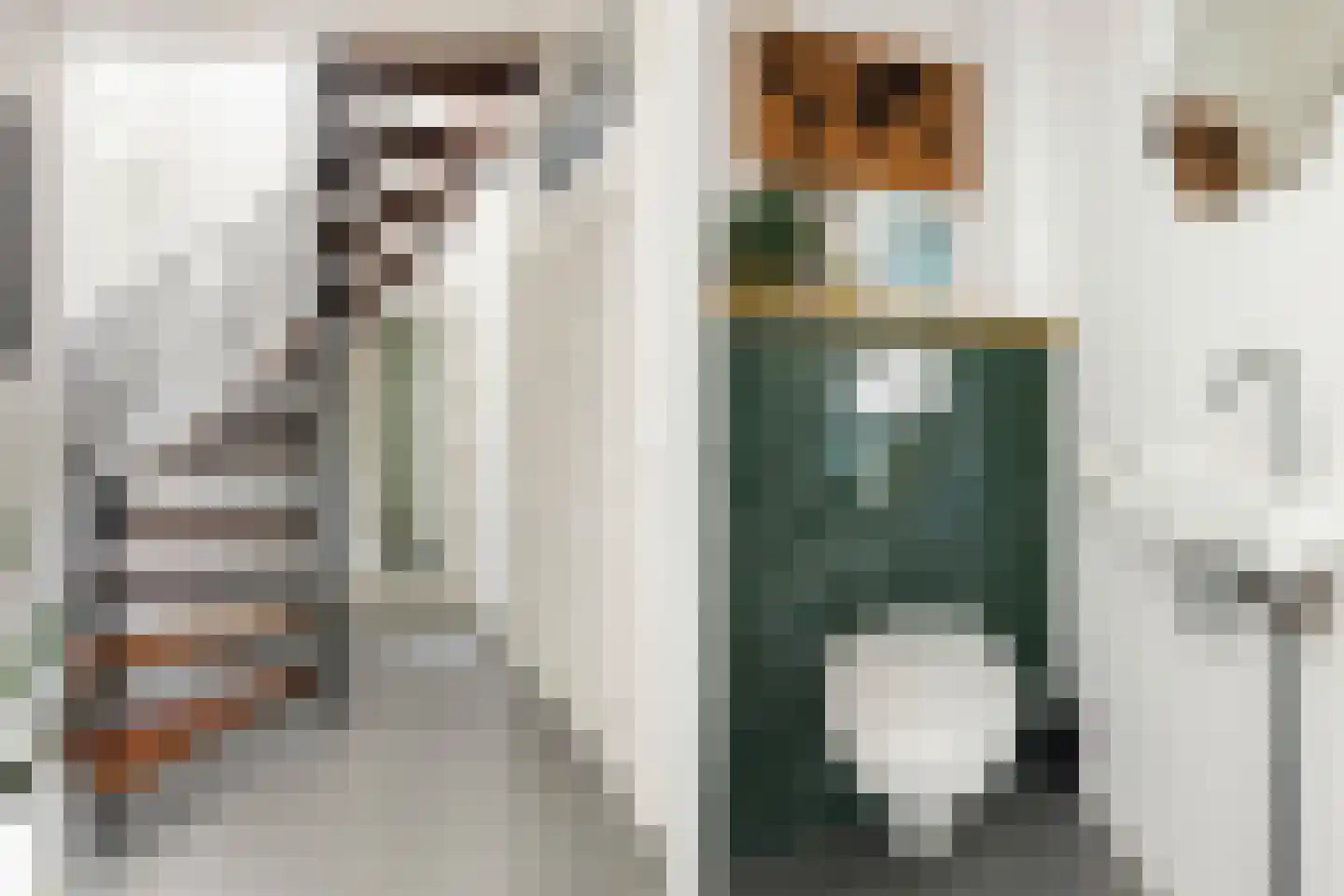 Noordernesse 5 Mijnsheerenland thumbnail 23