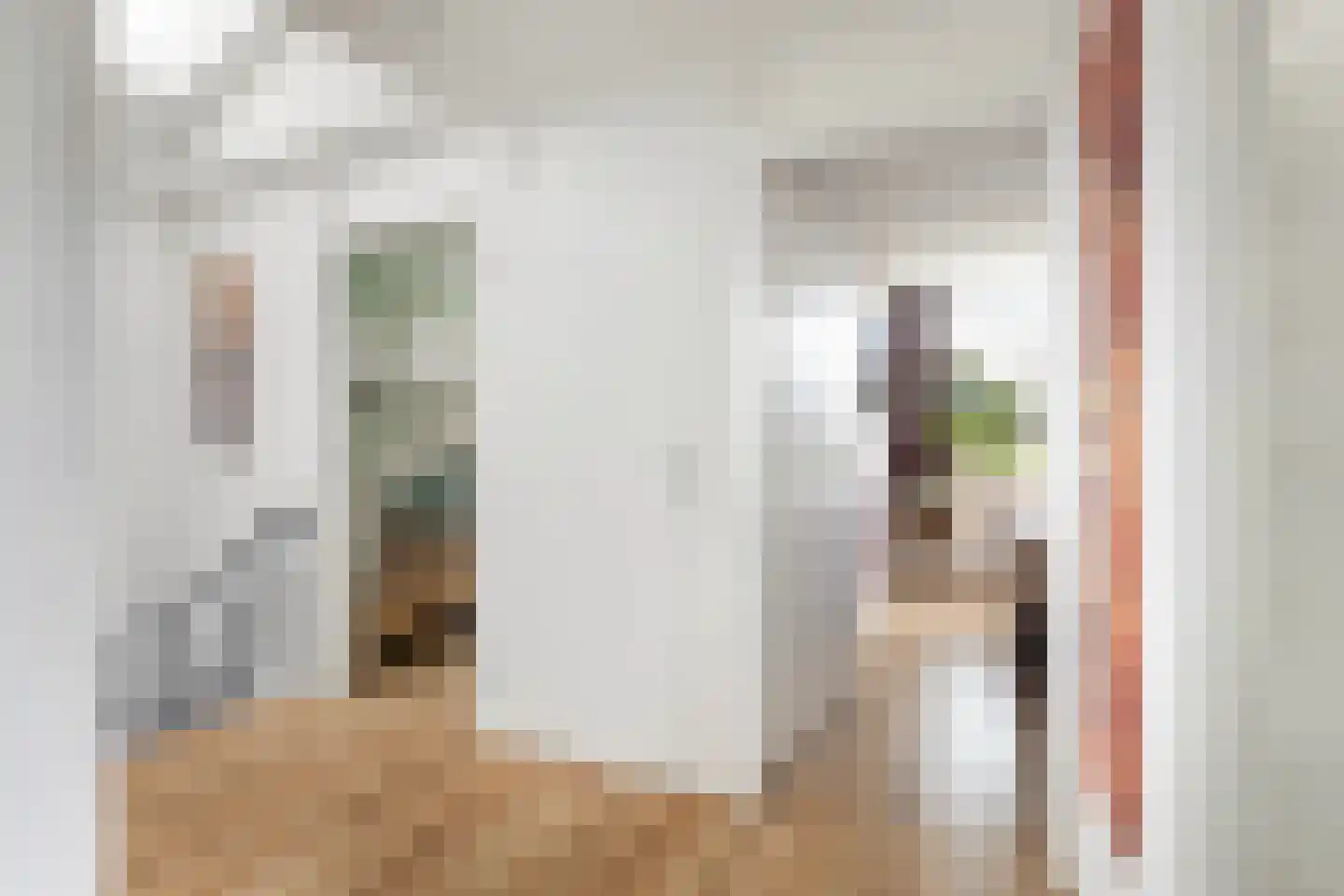 Noordernesse 5 Mijnsheerenland thumbnail 24