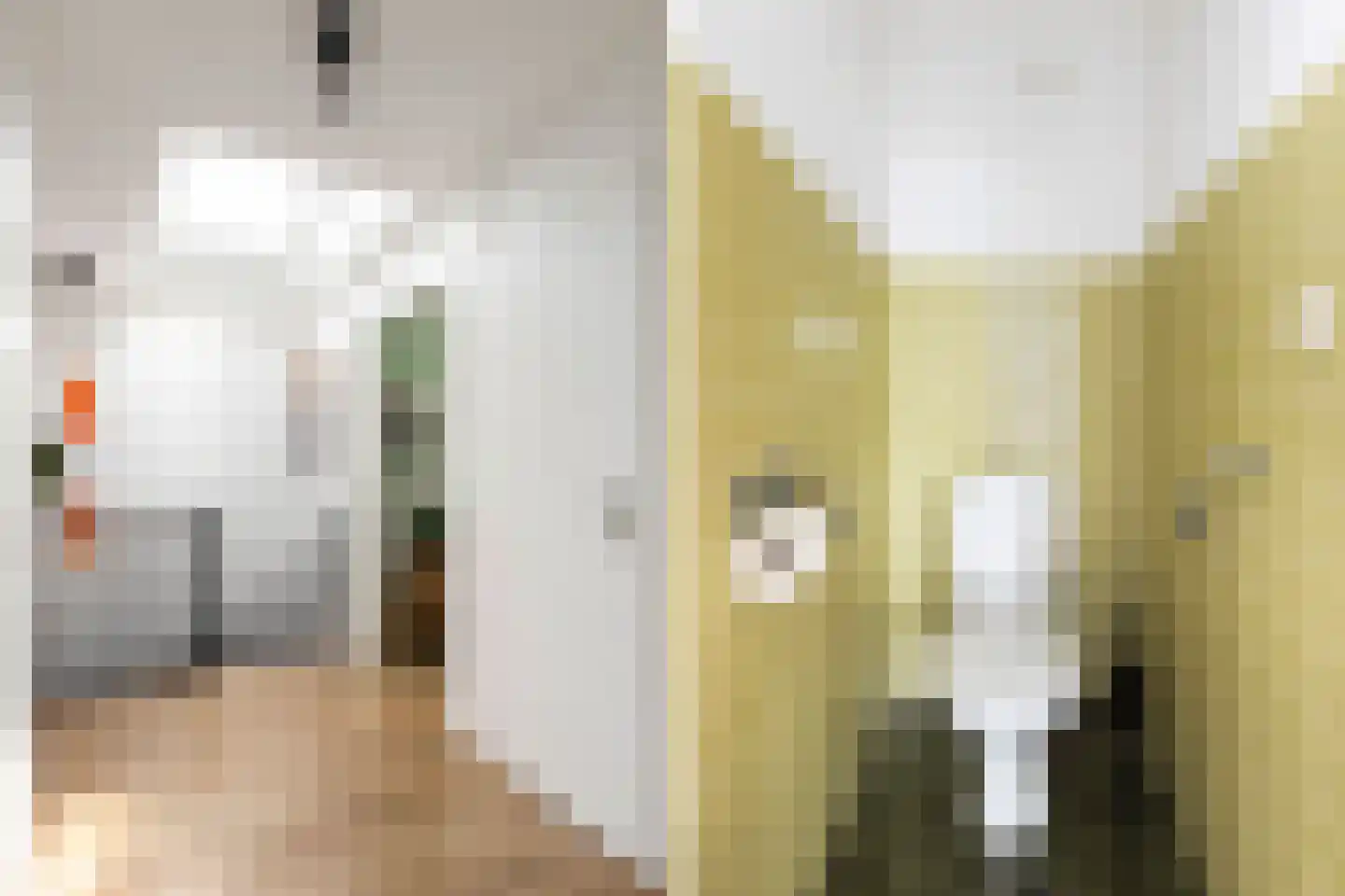 Noordernesse 5 Mijnsheerenland thumbnail 25