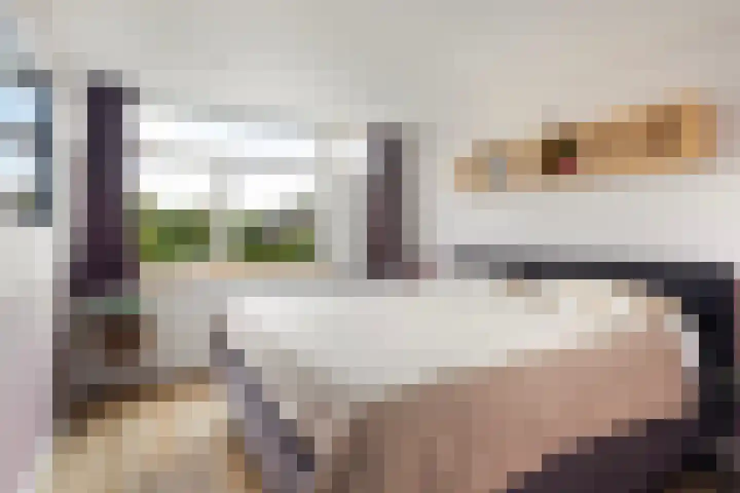 Noordernesse 5 Mijnsheerenland thumbnail 26