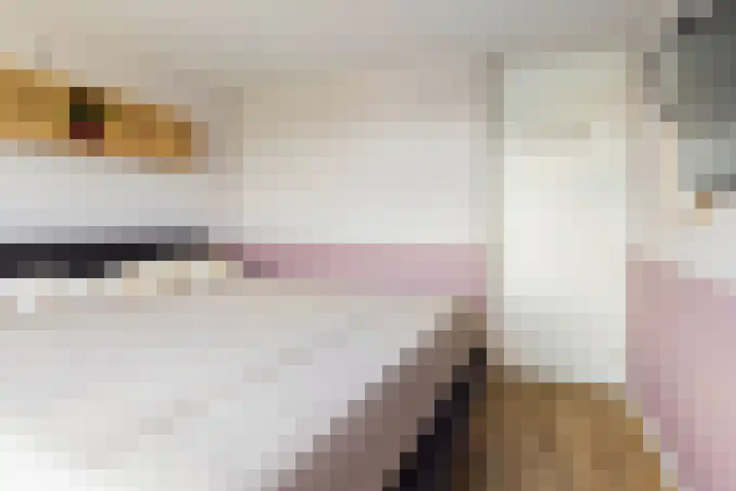 Noordernesse 5 Mijnsheerenland thumbnail 27