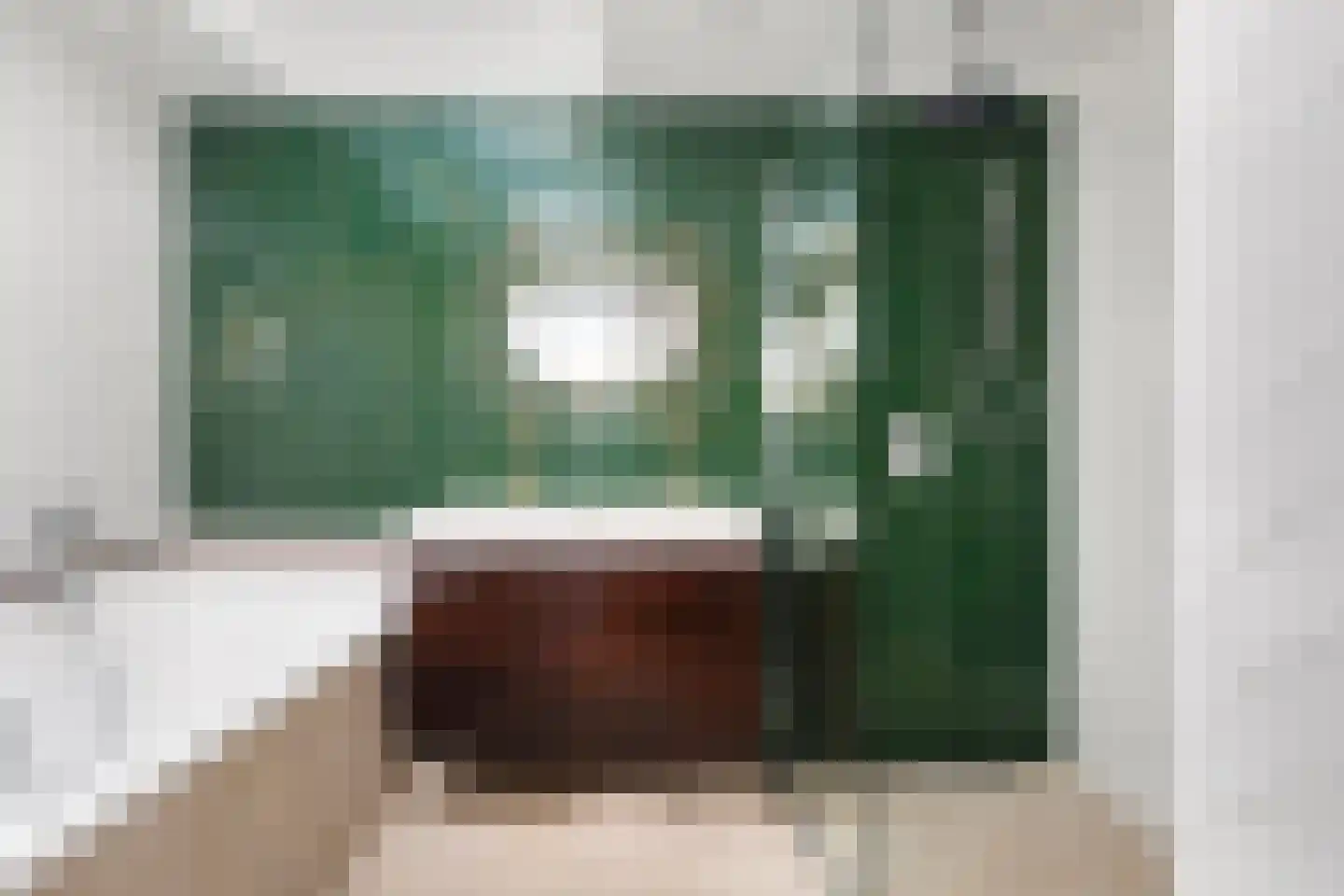 Noordernesse 5 Mijnsheerenland thumbnail 28
