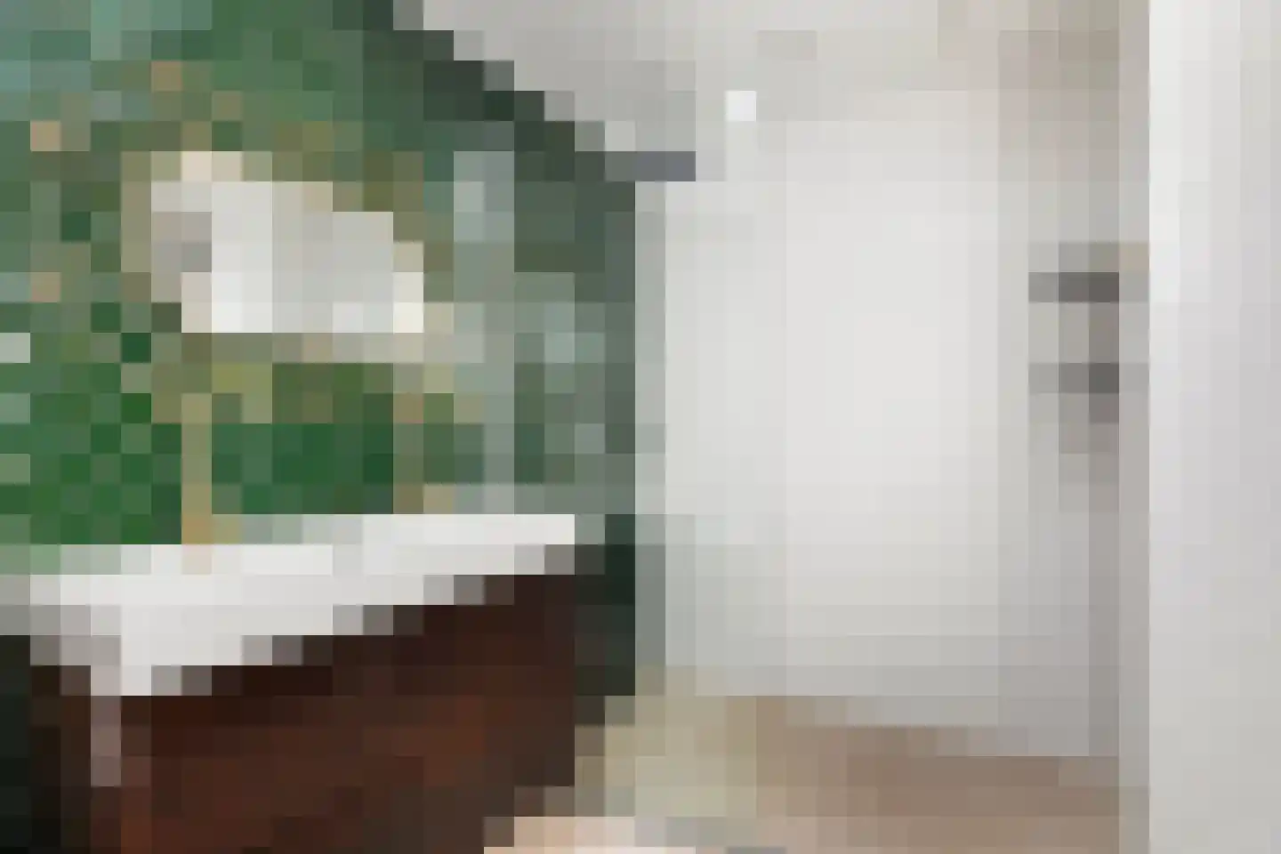 Noordernesse 5 Mijnsheerenland thumbnail 30