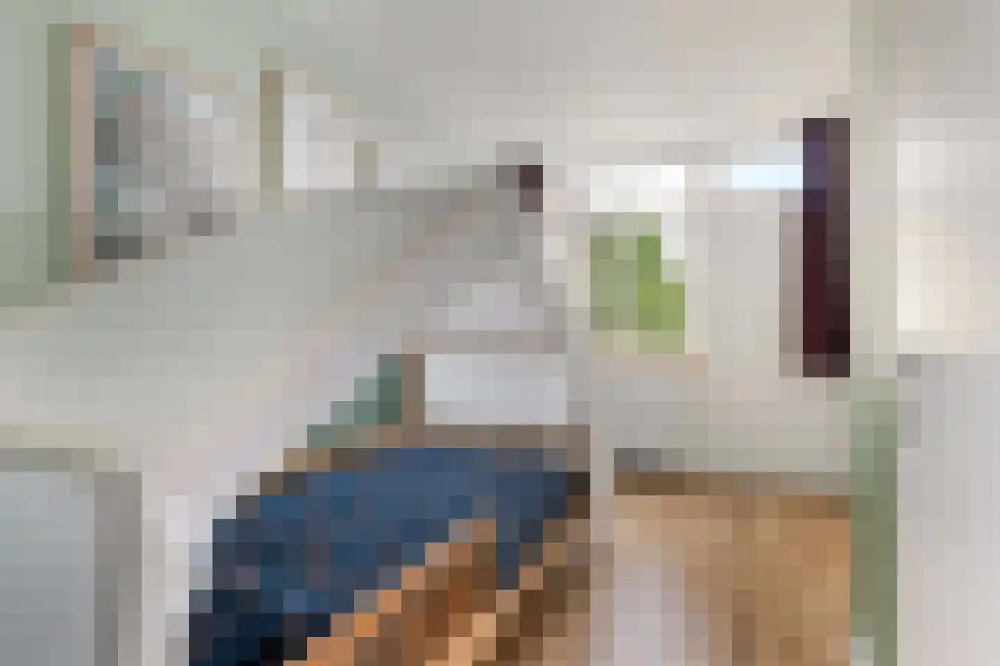 Noordernesse 5 Mijnsheerenland thumbnail 31