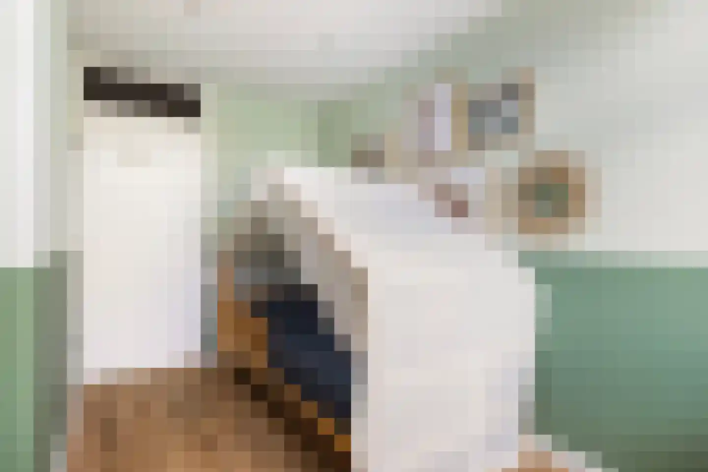Noordernesse 5 Mijnsheerenland thumbnail 32