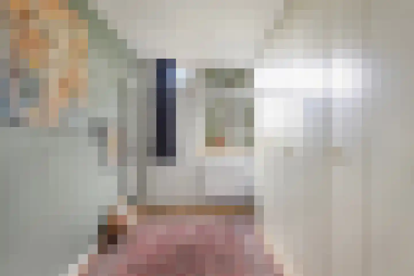 Noordernesse 5 Mijnsheerenland thumbnail 33