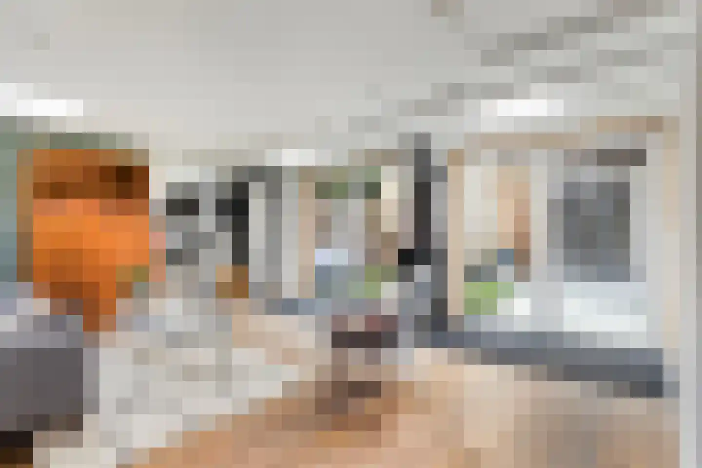 Noordernesse 5 Mijnsheerenland thumbnail 4