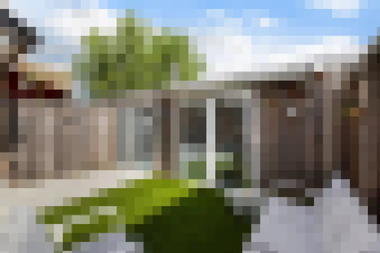Noordernesse 5 Mijnsheerenland thumbnail 40