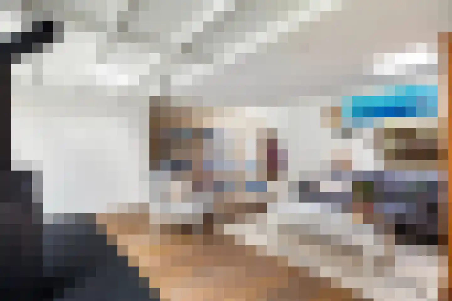 Noordernesse 5 Mijnsheerenland thumbnail 41