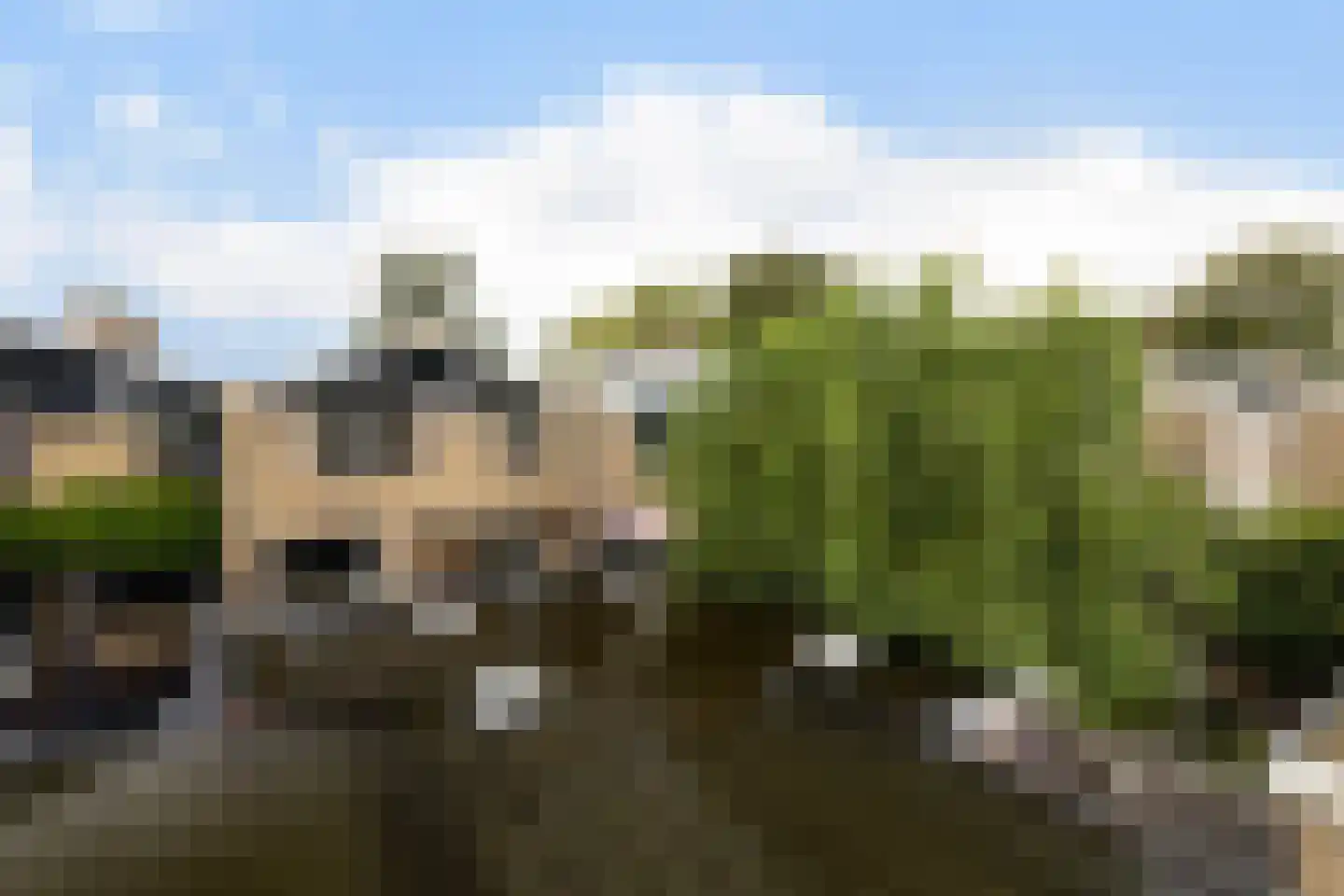 Noordernesse 5 Mijnsheerenland thumbnail 43