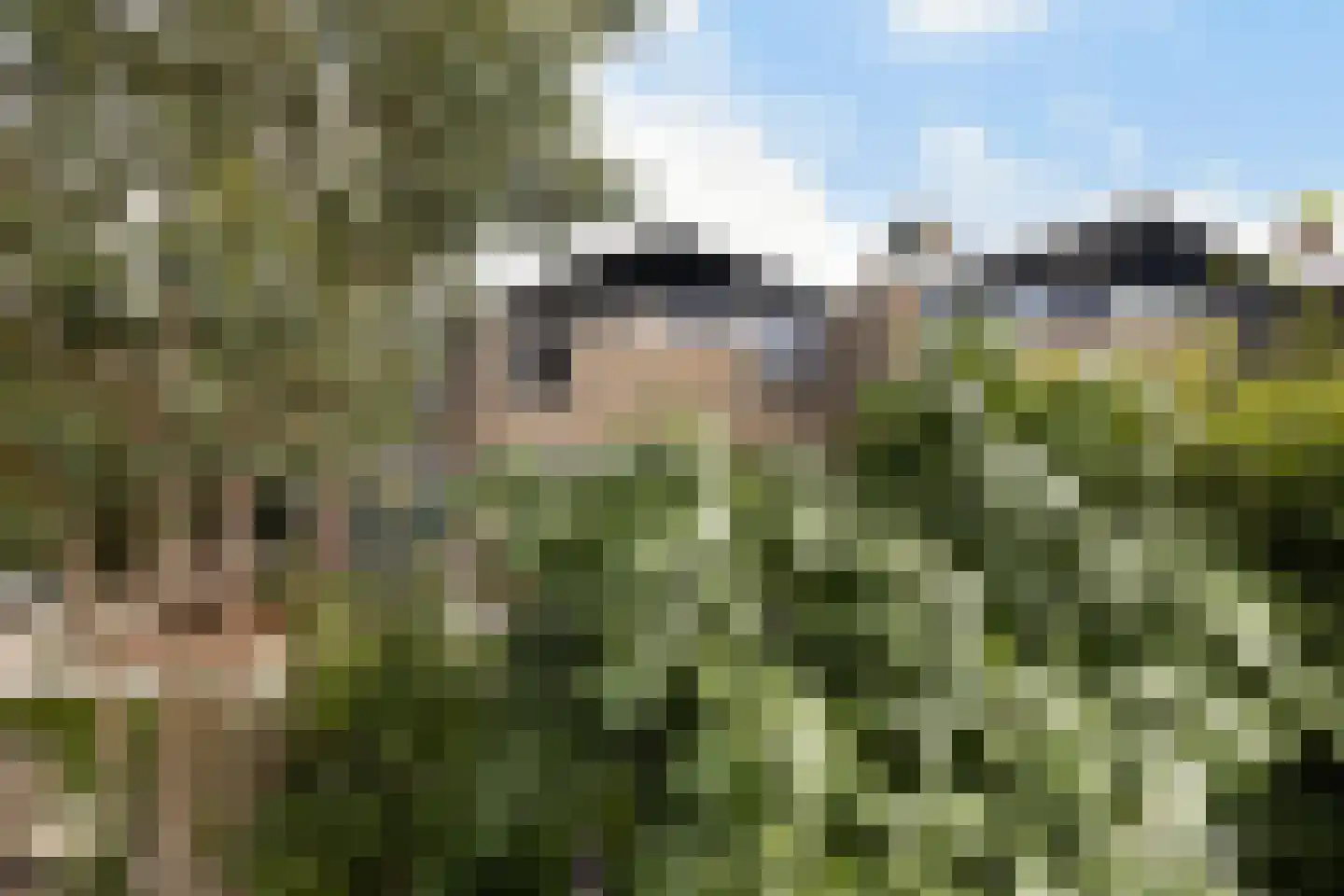 Noordernesse 5 Mijnsheerenland thumbnail 44