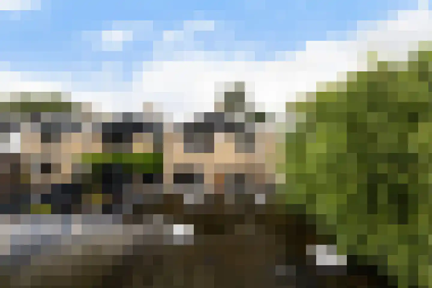 Noordernesse 5 Mijnsheerenland thumbnail 46