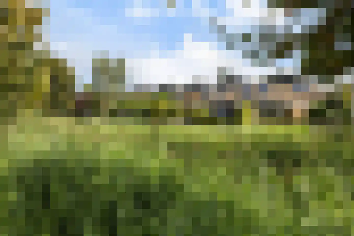 Noordernesse 5 Mijnsheerenland thumbnail 49