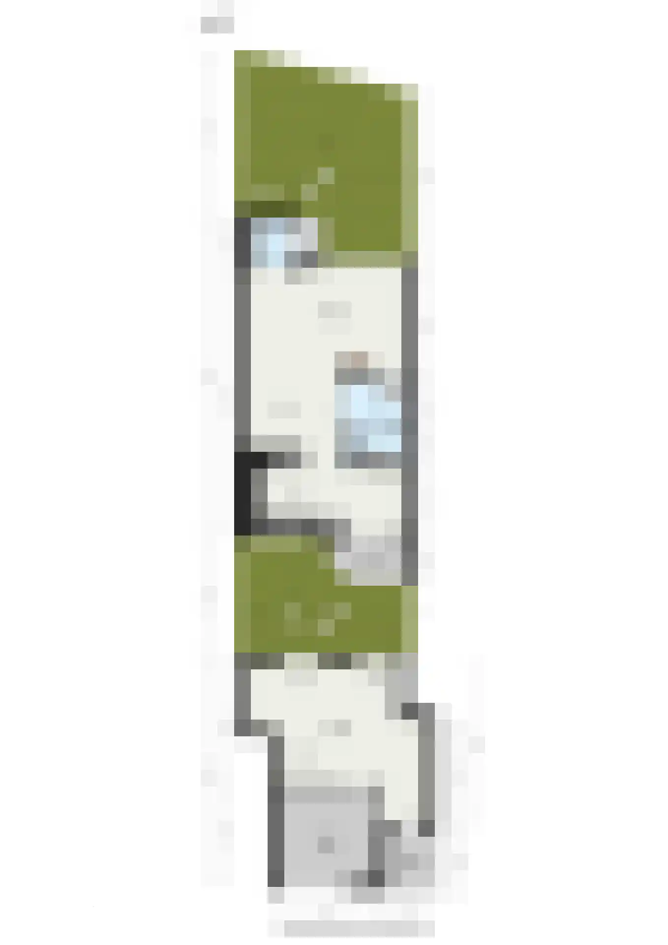 Noordernesse 5 Mijnsheerenland thumbnail 54
